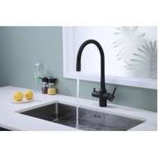 Смеситель для кухни с подключением к фильтру Paulmark Salix Sa213419-401