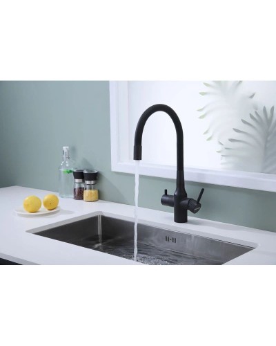 Смеситель для кухни с подключением к фильтру Paulmark Salix Sa213419-401