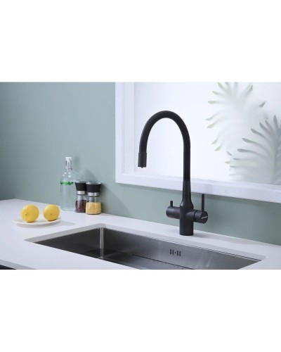 Смеситель для кухни с подключением к фильтру Paulmark Salix Sa213419-401