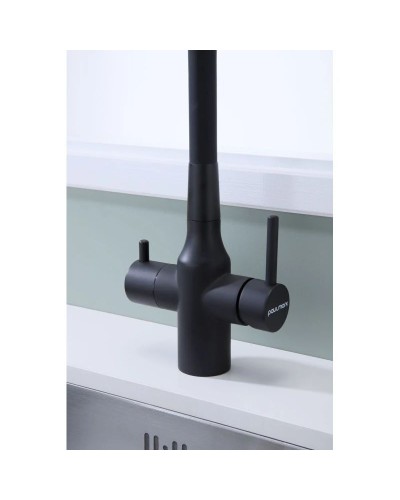 Смеситель для кухни с подключением к фильтру Paulmark Salix Sa213419-401