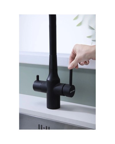 Смеситель для кухни с подключением к фильтру Paulmark Salix Sa213419-401