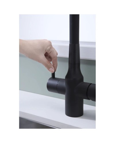 Смеситель для кухни с подключением к фильтру Paulmark Salix Sa213419-401