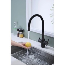 Смеситель для кухни с подключением к фильтру Paulmark Salix Sa213419-401