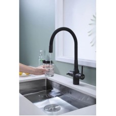 Смеситель для кухни с подключением к фильтру Paulmark Salix Sa213419-401