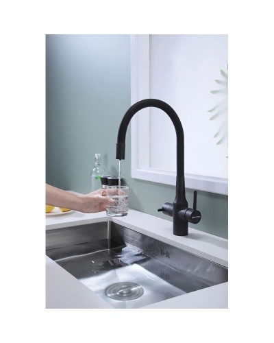 Смеситель для кухни с подключением к фильтру Paulmark Salix Sa213419-401