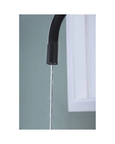 Смеситель для кухни с подключением к фильтру Paulmark Salix Sa213419-401