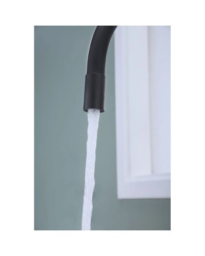 Смеситель для кухни с подключением к фильтру Paulmark Salix Sa213419-401