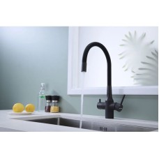 Смеситель для кухни с подключением к фильтру Paulmark Salix Sa213419-401