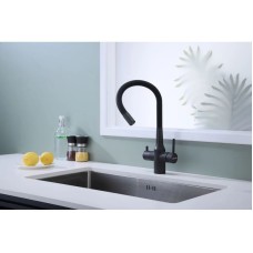 Смеситель для кухни с подключением к фильтру Paulmark Salix Sa213419-401