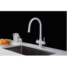 Смеситель для кухни с подключением к фильтру Paulmark Salix Sa213419-431