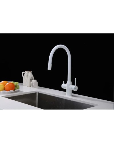 Смеситель для кухни с подключением к фильтру Paulmark Salix Sa213419-431