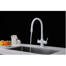 Смеситель для кухни с подключением к фильтру Paulmark Salix Sa213419-431