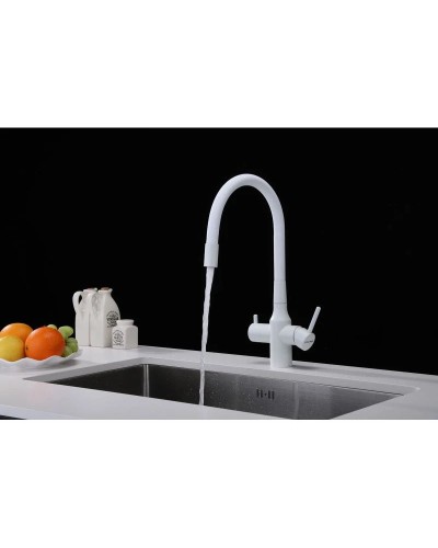 Смеситель для кухни с подключением к фильтру Paulmark Salix Sa213419-431