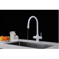 Смеситель для кухни с подключением к фильтру Paulmark Salix Sa213419-431