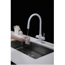 Смеситель для кухни с подключением к фильтру Paulmark Salix Sa213419-431