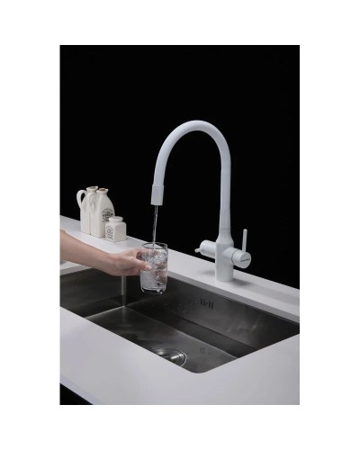 Смеситель для кухни с подключением к фильтру Paulmark Salix Sa213419-431