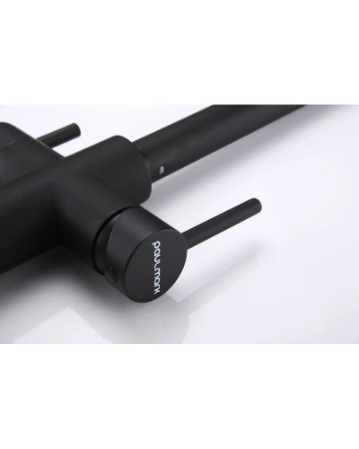 Смеситель для кухни с подключением к фильтру Paulmark Lange La214212-401