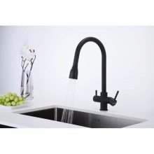 Смеситель для кухни с подключением к фильтру Paulmark Lange La214212-401