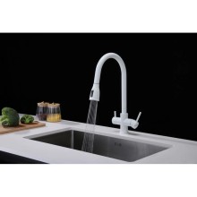 Смеситель для кухни с подключением к фильтру Paulmark Lange La214212-431