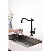 Смеситель для кухни с подключением к фильтру Paulmark Retro Re213226-401