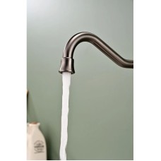 Смеситель для кухни с подключением к фильтру Paulmark Retro Re213226-GM