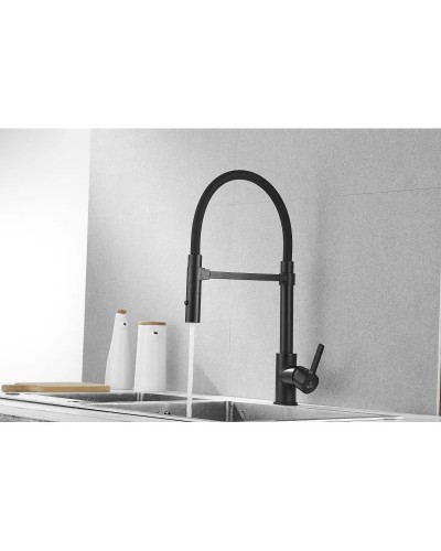 Смеситель для кухни Rose R133H