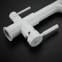 Смеситель для кухни с подключением к фильтру Rose R658C