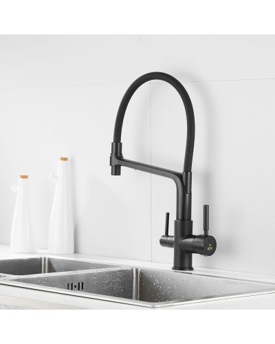 Смеситель для кухни с подключением к фильтру Rose R658H