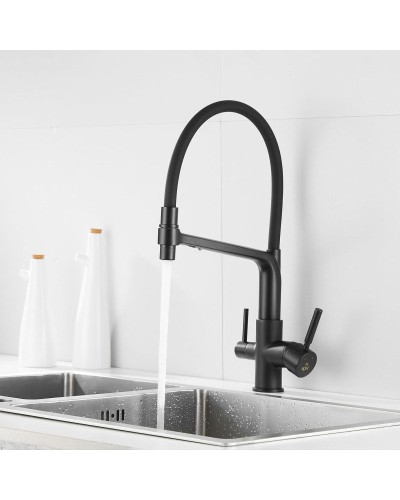 Смеситель для кухни с подключением к фильтру Rose R658H