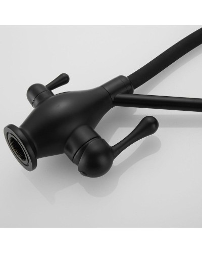 Смеситель для кухни с подключением к фильтру Rose R858H