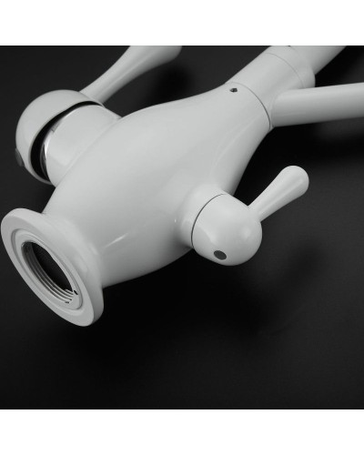 Смеситель для кухни с подключением к фильтру Rose R858C