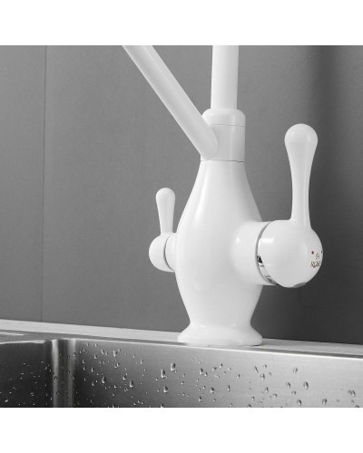 Смеситель для кухни с подключением к фильтру Rose R858C