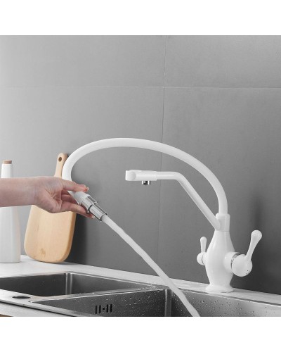 Смеситель для кухни с подключением к фильтру Rose R858C