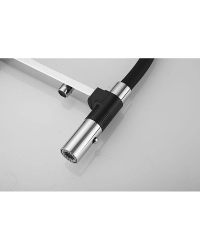 Смеситель для кухни с подключением к фильтру Rose R958