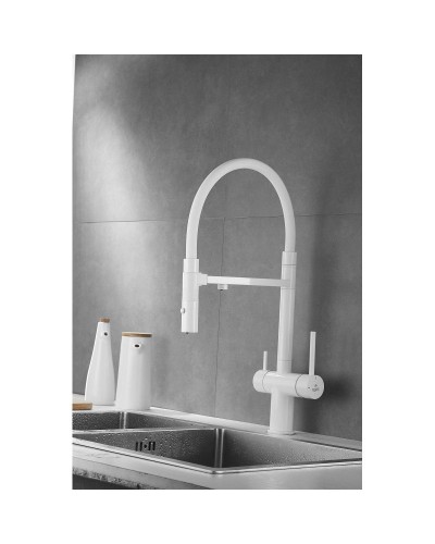 Смеситель для кухни с подключением к фильтру Rose R958C