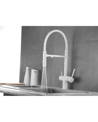 Смеситель для кухни с подключением к фильтру Rose R958C