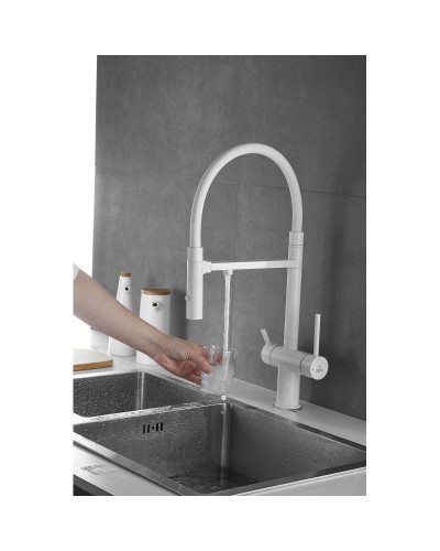 Смеситель для кухни с подключением к фильтру Rose R958C