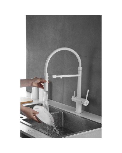 Смеситель для кухни с подключением к фильтру Rose R958C