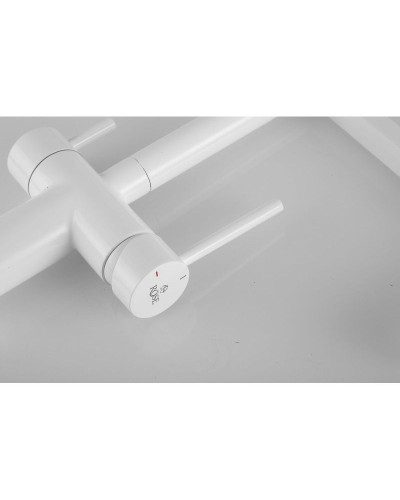 Смеситель для кухни с подключением к фильтру Rose R958C