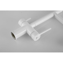 Смеситель для кухни с подключением к фильтру Rose R958C