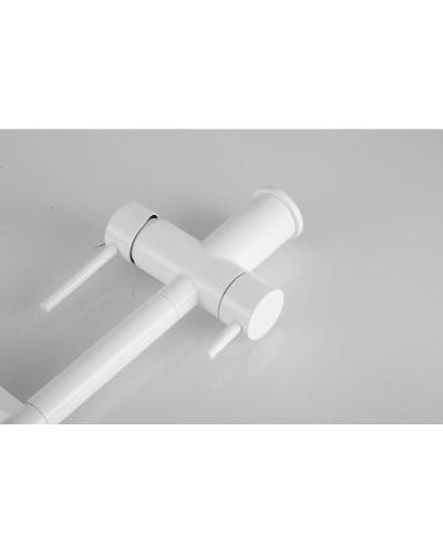 Смеситель для кухни с подключением к фильтру Rose R958C