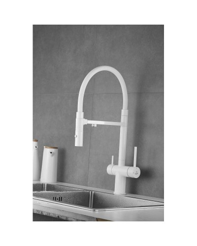 Смеситель для кухни с подключением к фильтру Rose R958C