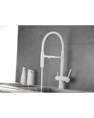 Смеситель для кухни с подключением к фильтру Rose R958C