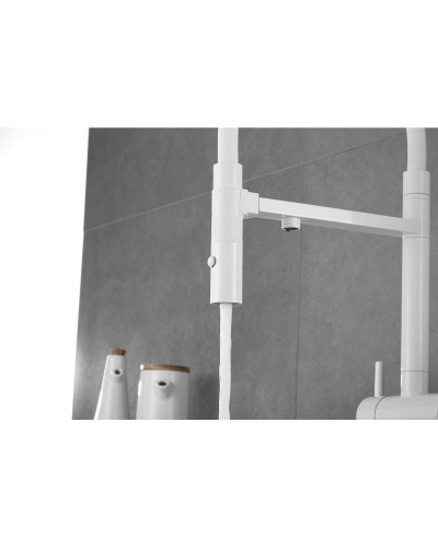 Смеситель для кухни с подключением к фильтру Rose R958C