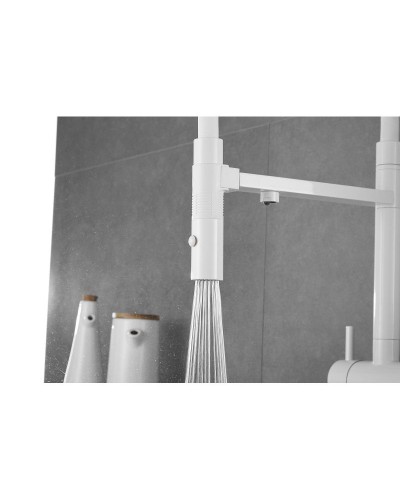 Смеситель для кухни с подключением к фильтру Rose R958C