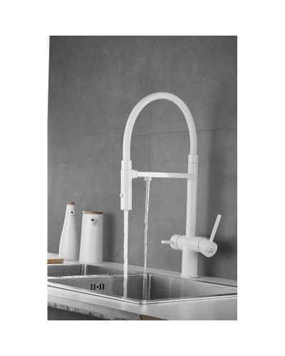 Смеситель для кухни с подключением к фильтру Rose R958C