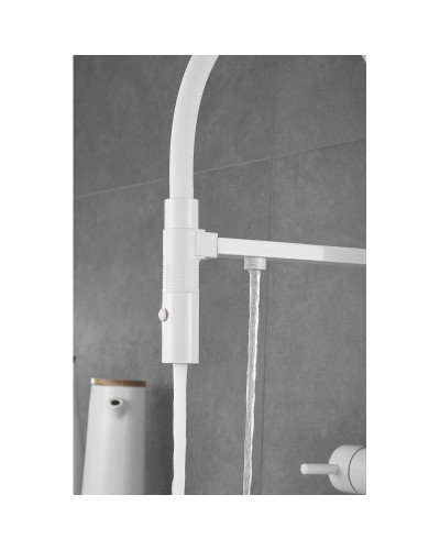 Смеситель для кухни с подключением к фильтру Rose R958C