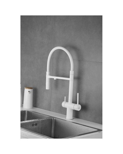 Смеситель для кухни с подключением к фильтру Rose R958C