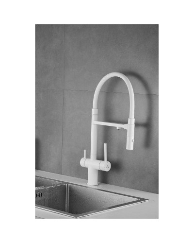 Смеситель для кухни с подключением к фильтру Rose R958C