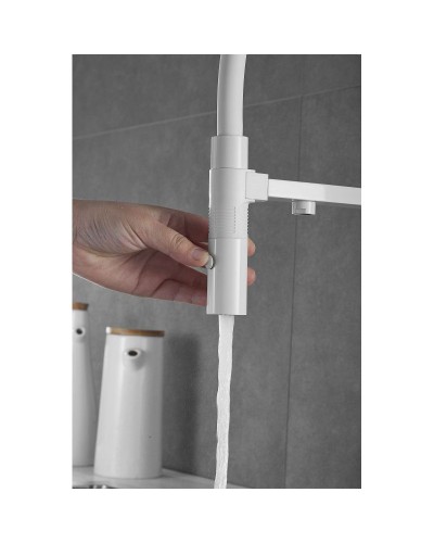 Смеситель для кухни с подключением к фильтру Rose R958C